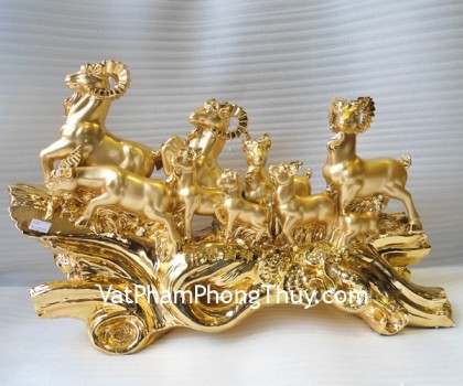 Chin-con-de-vnag-H022G-02