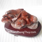 Thiem-thu-ngoc-hoang-long-TT-HL-5680