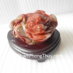 Thiem-thu-ngoc-hoang-long-TT-HL-7805-2