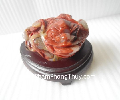 Thiem-thu-ngoc-hoang-long-TT-HL-7805-2