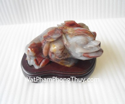 Thiem-thu-ngoc-hoang-long-TT-HL-9480