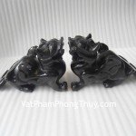 Tu-huu-tieu-ngoc-den-R003