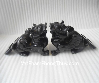 Tu-huu-tieu-ngoc-den-R003