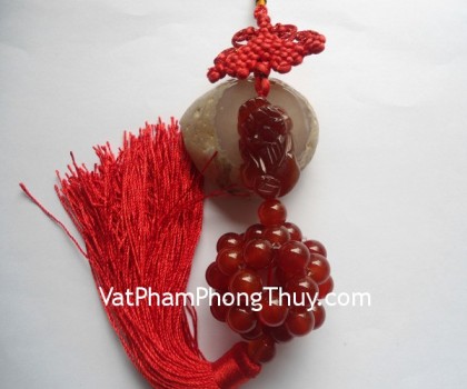 5127-ngoc-boi-ty-huu-ma-nao-do