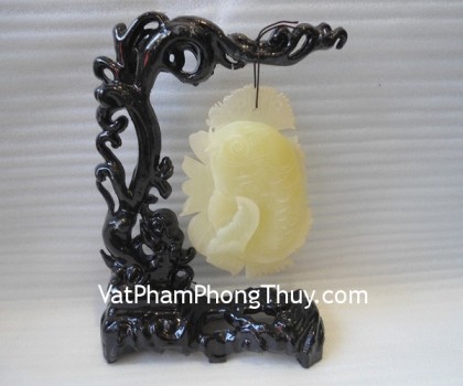 Ca-ngoc-lieu-ninh-HM117