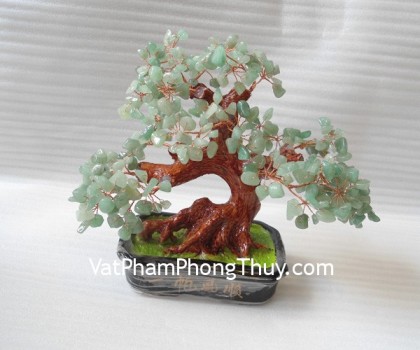 Cay-ngoc-dong-linh-trung-HCA268