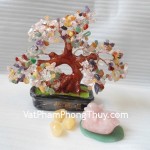 Cay-thach-anh-6-mau-HCA259-02