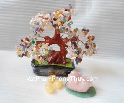 Cay-thach-anh-6-mau-HCA259-02