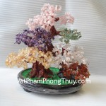 Cay-thach-anh-6-mau-lon-HCA257