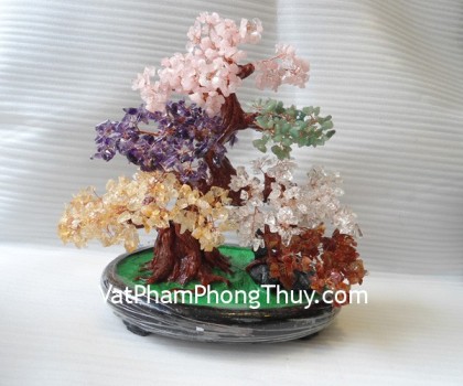 Cay-thach-anh-6-mau-lon-HCA257