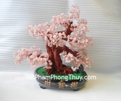 Cay-thach-anh-hong-lon-HCA265