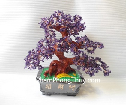 Cay-thach-anh-tim-dam-HCA269