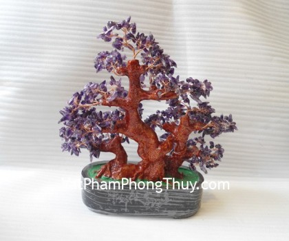 Cay-thach-anh-tim-lon-HCA260-01