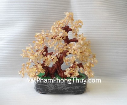 Cay-thach-anh-vang-lon-CA263