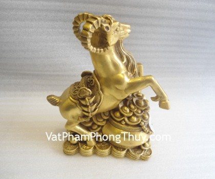 De-dong-gi-vang-D167-01