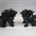 Ky-lan-hac-nga-HM089