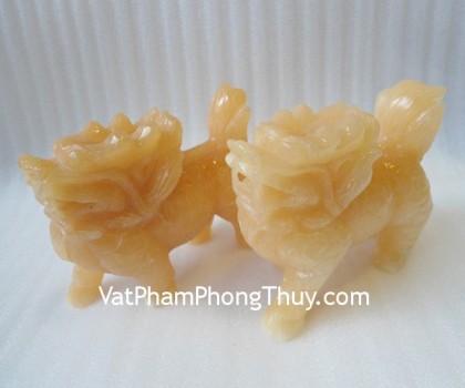 Ky-lan-hoang-long-vay-rong-HM039