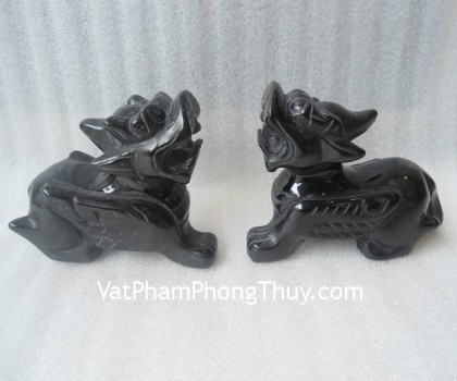 Ty-huu-hac-nga-HM012