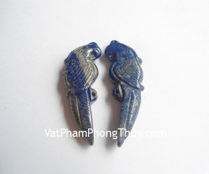 chim-anh-vu-thanh-kim-s5144