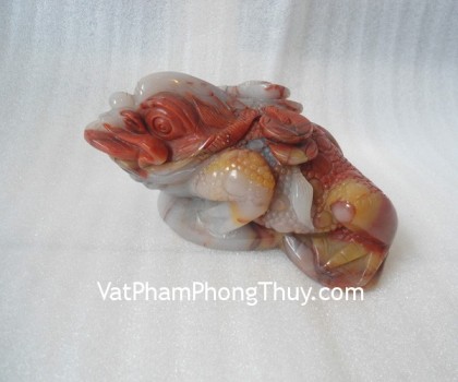 tt-hl-6794-thiem-thu-tam-the-2