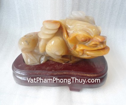 tt-hl-7419-thiem-thu-tam-the