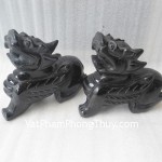 HM011-Ty-huu-hac-nga-02