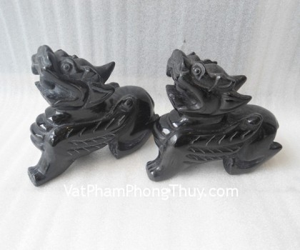 HM011-Ty-huu-hac-nga-02