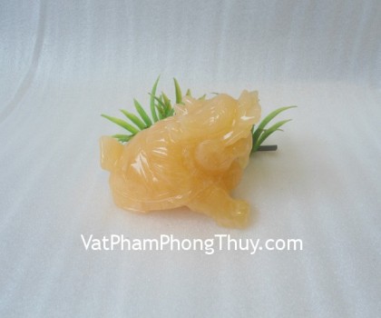 H032-Long-quy-hoang-long-2