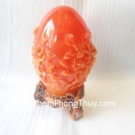 h223g-mau-don-trung-cam-1