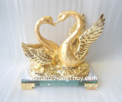 h493g-cap-thien-nga-vang-2