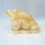 hm026-coc-hoang-long-lon-2