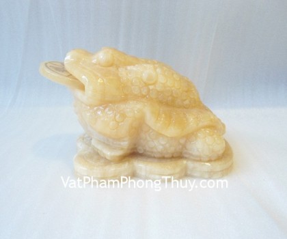 hm026-coc-hoang-long-lon-2