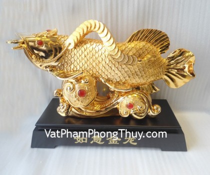 H285G-Ca-kim-long-lon