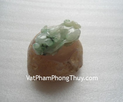 S2003-6460-Ty-huu-ngoc-phi-thuy