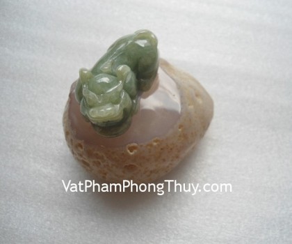 S2005-5177-Ty-huu-ngoc-phi-thuy