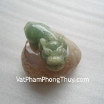 S2005-9100-Ty-huu-ngoc-phi-thuy