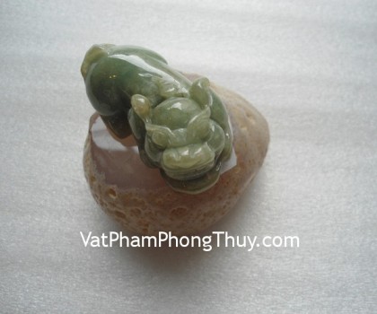 S2005-9234-Ty-huu-ngoc-phi-thuy