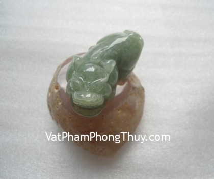 S2005-9900-Ty-huu-ngoc-phi-thuy