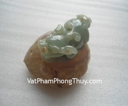 S5151-4263-Ty-huu-ngoc-phi-thuy