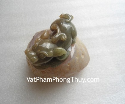 S5151-4503-Ty-huu-ngoc-phi-thuy-2