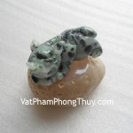 S957-4767-Ty-huu-ngoc-phi-thuy