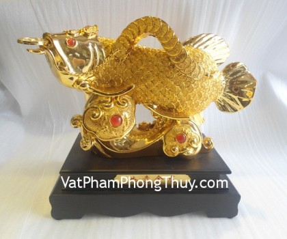 ca-kim-long-H286G-01