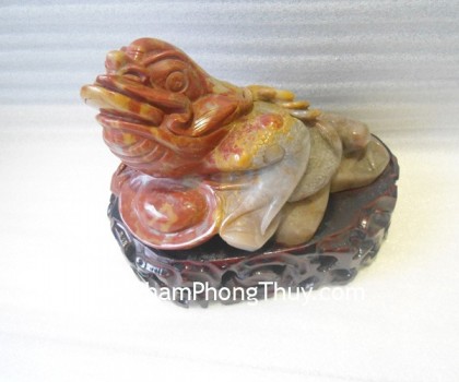 TT-HL-16134-Thiem-thu-2