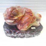 TT-HL-17586-Thiem-thu-2