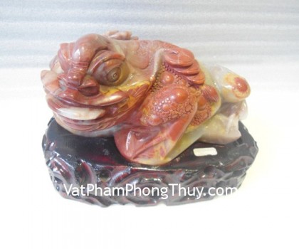 TT-HL-17586-Thiem-thu-2