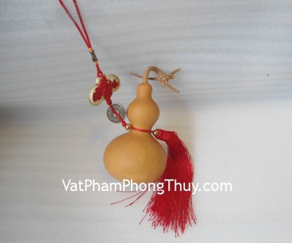 CC2018-ho-lo-tu-nhien