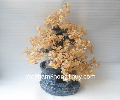 HCA252-Cay-tai-loc-phong-thuy-luan-1