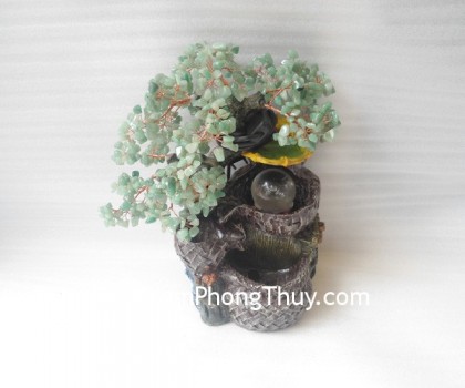 HCA256-Cay-tai-loc-phong-thuy-luan-1