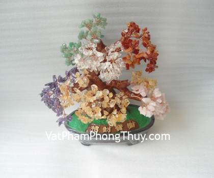 HCA258-Cay-tai-loc-ngu-hanh-1