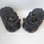 HM120-Ty-huu-nam-lon-1